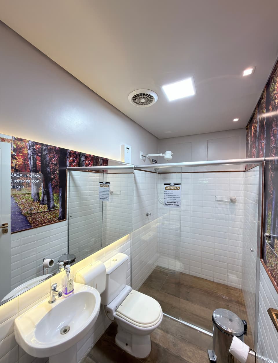 Lavabo IV — antes